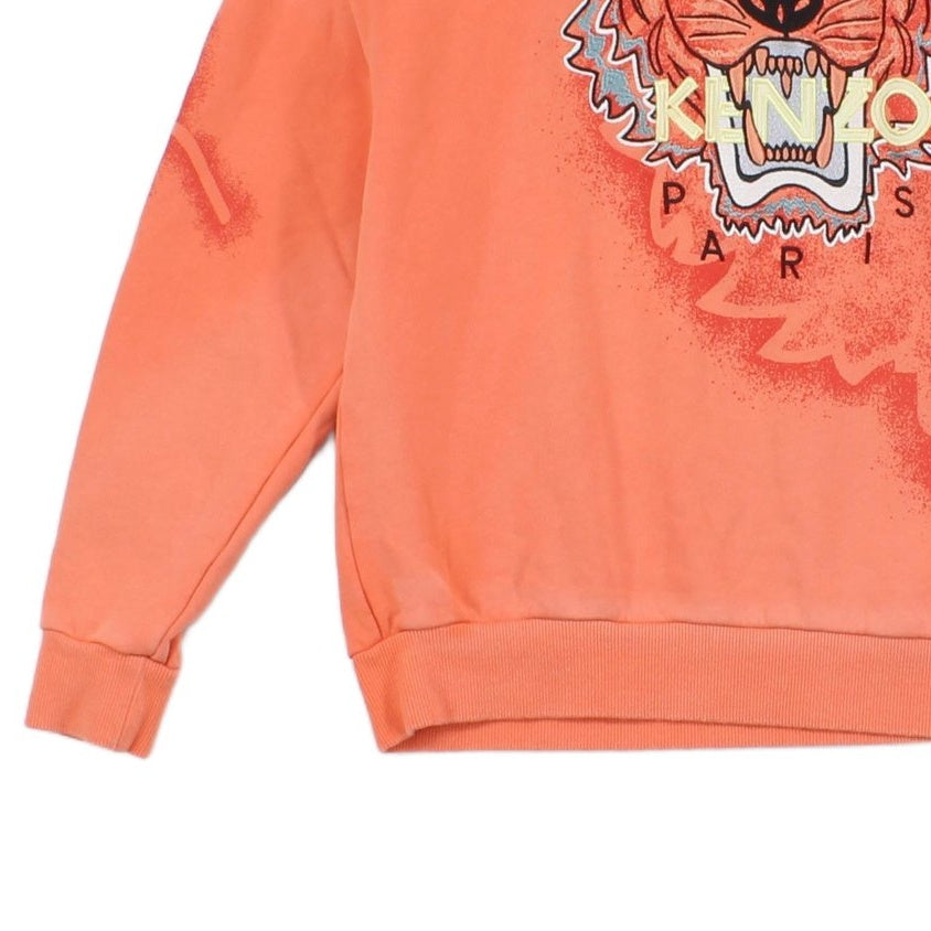 Boys Graphic Sweatshirt Tiger Crew Neck