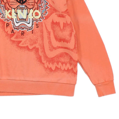 Boys Graphic Sweatshirt Tiger Crew Neck