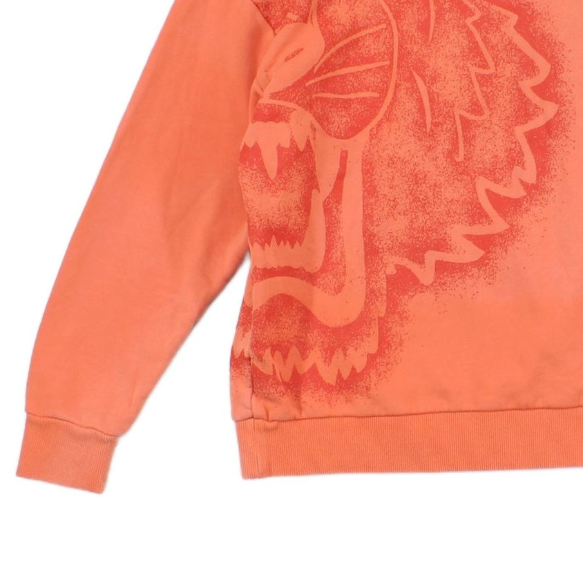 Boys Graphic Sweatshirt Tiger Crew Neck