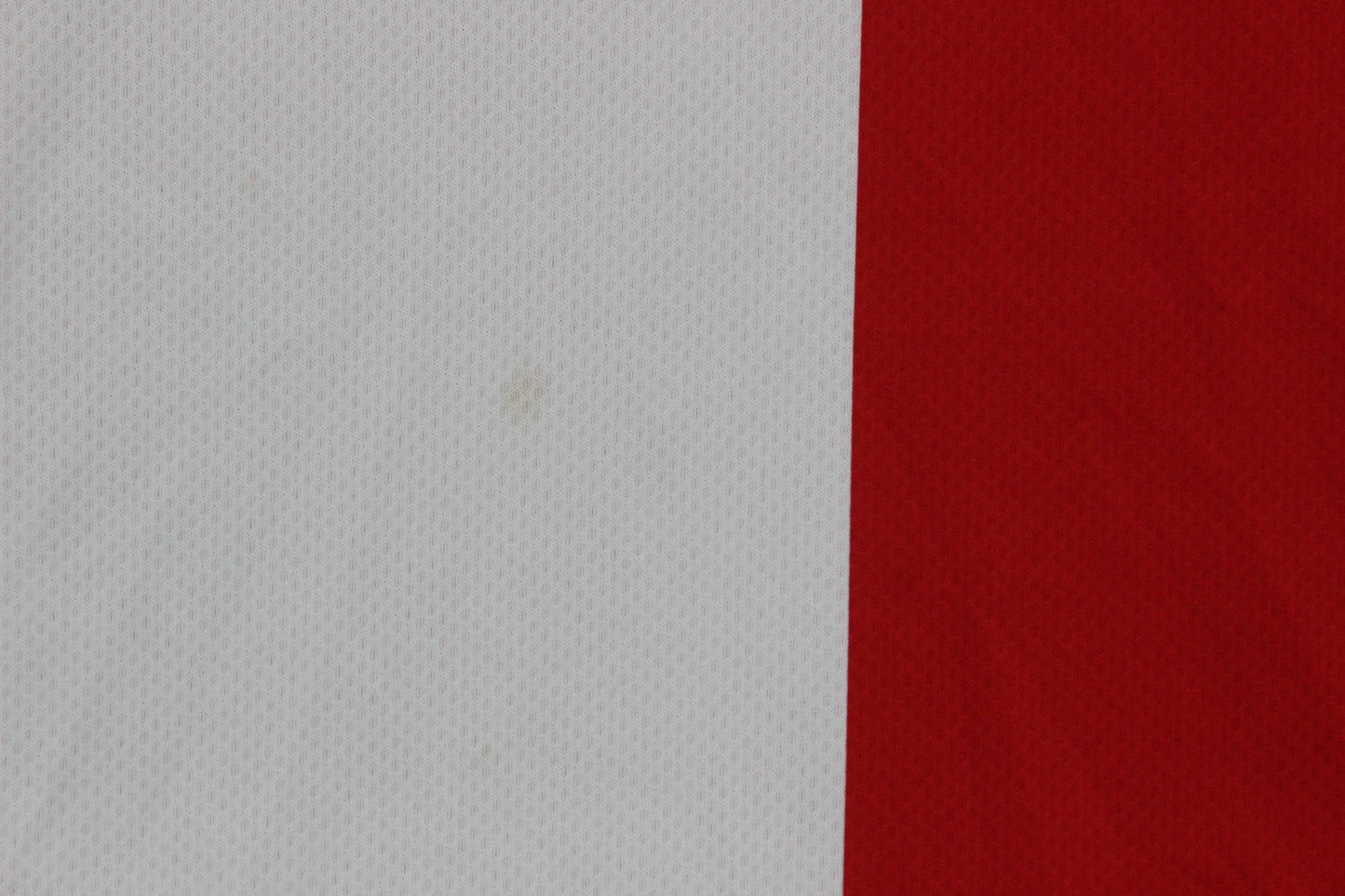 Mens Girona 2020-21 Football Shirt Home Jersey