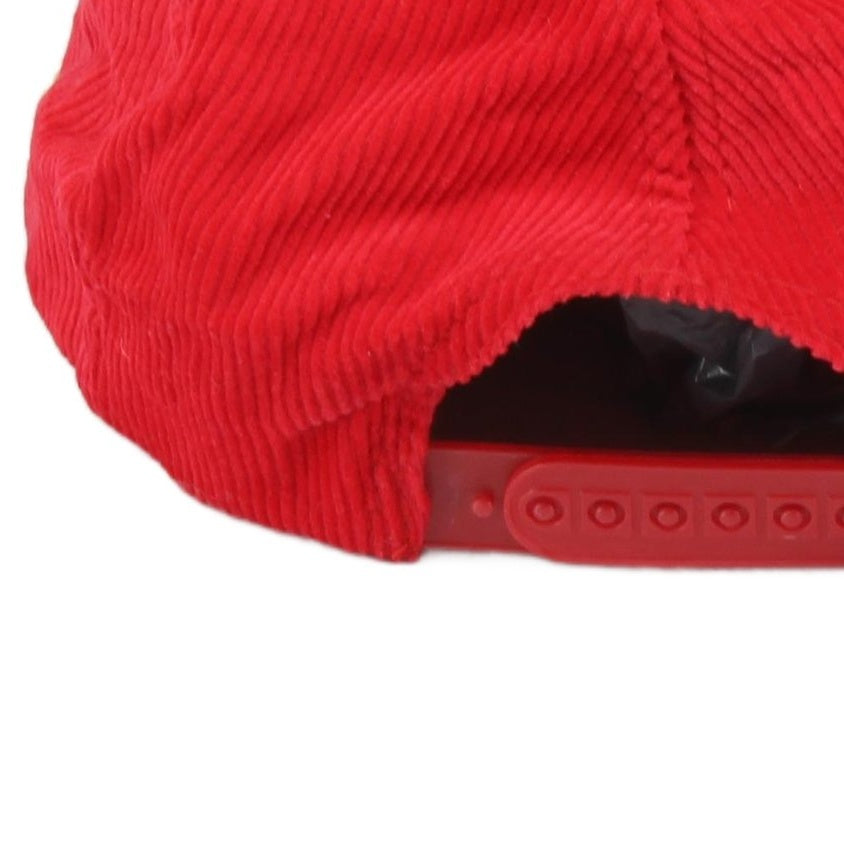Mens Heavenly Lake Tahoe Snapback Corduroy