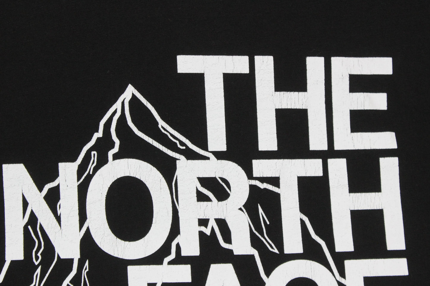 Mens Graphic T-Shirt Outdoor Crew Neck