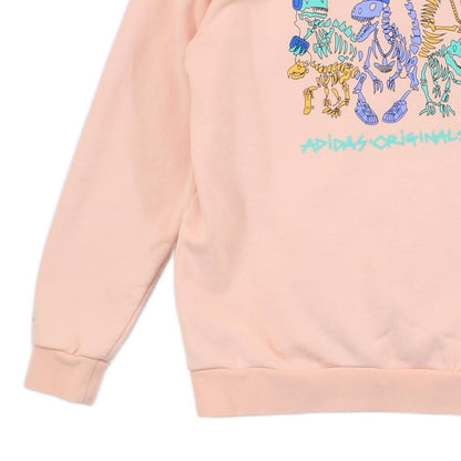 Mens Graphic Hoodie Pullover