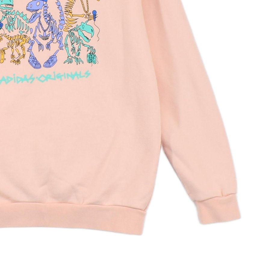 Mens Graphic Hoodie Pullover