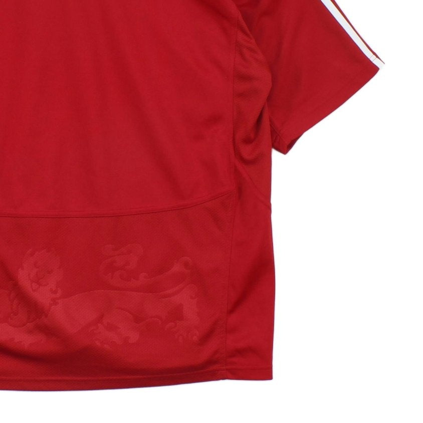 Mens British Lions 2009 Rugby Jersey Sport Short Sleeve