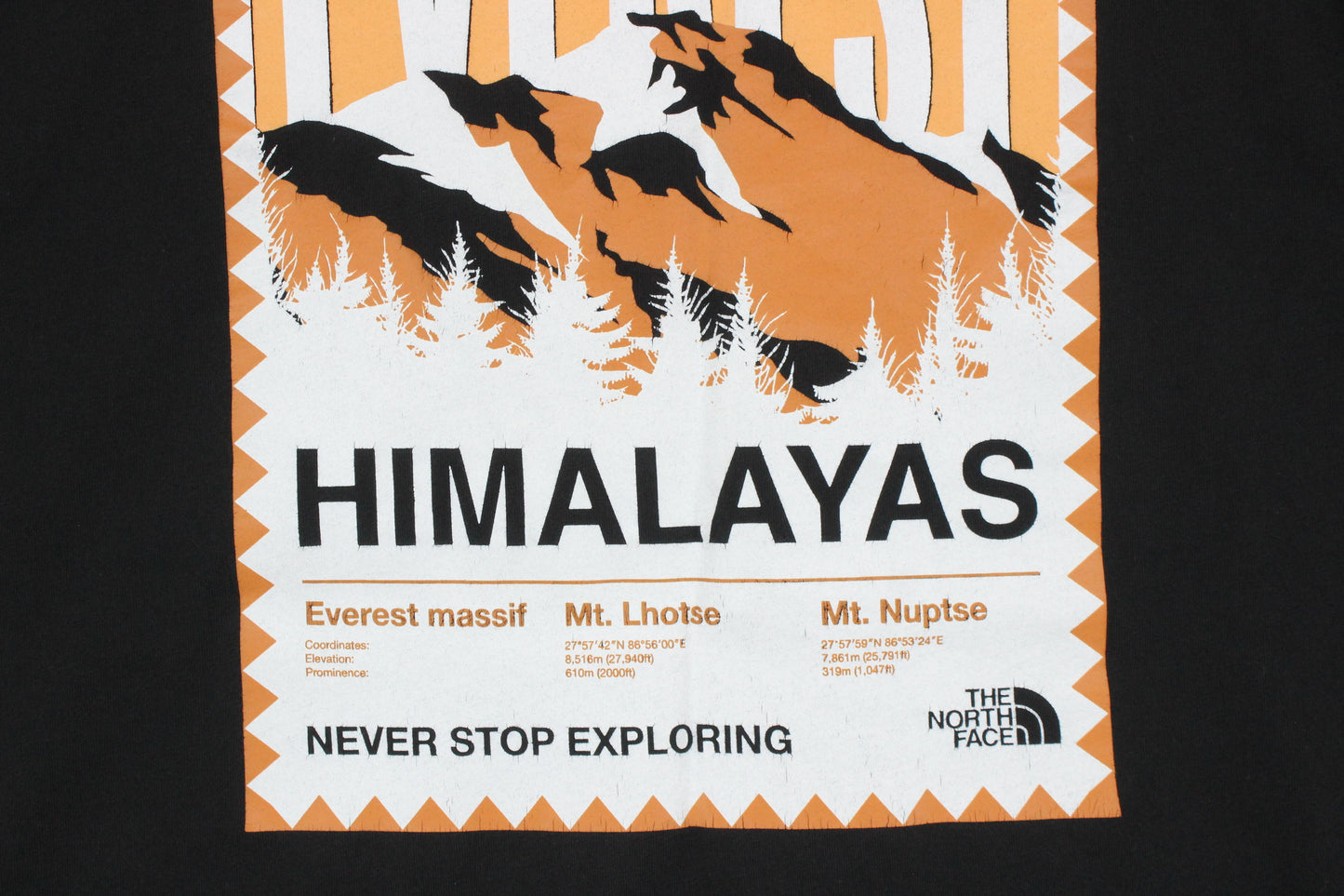 Mens Graphic T-Shirt Outdoors Hiking Everest