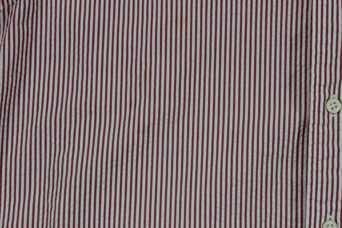 Mens Striped Shirt Custom Fit Short Sleeve
